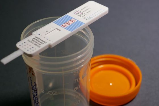 A test strip is sticking out of an empty cup