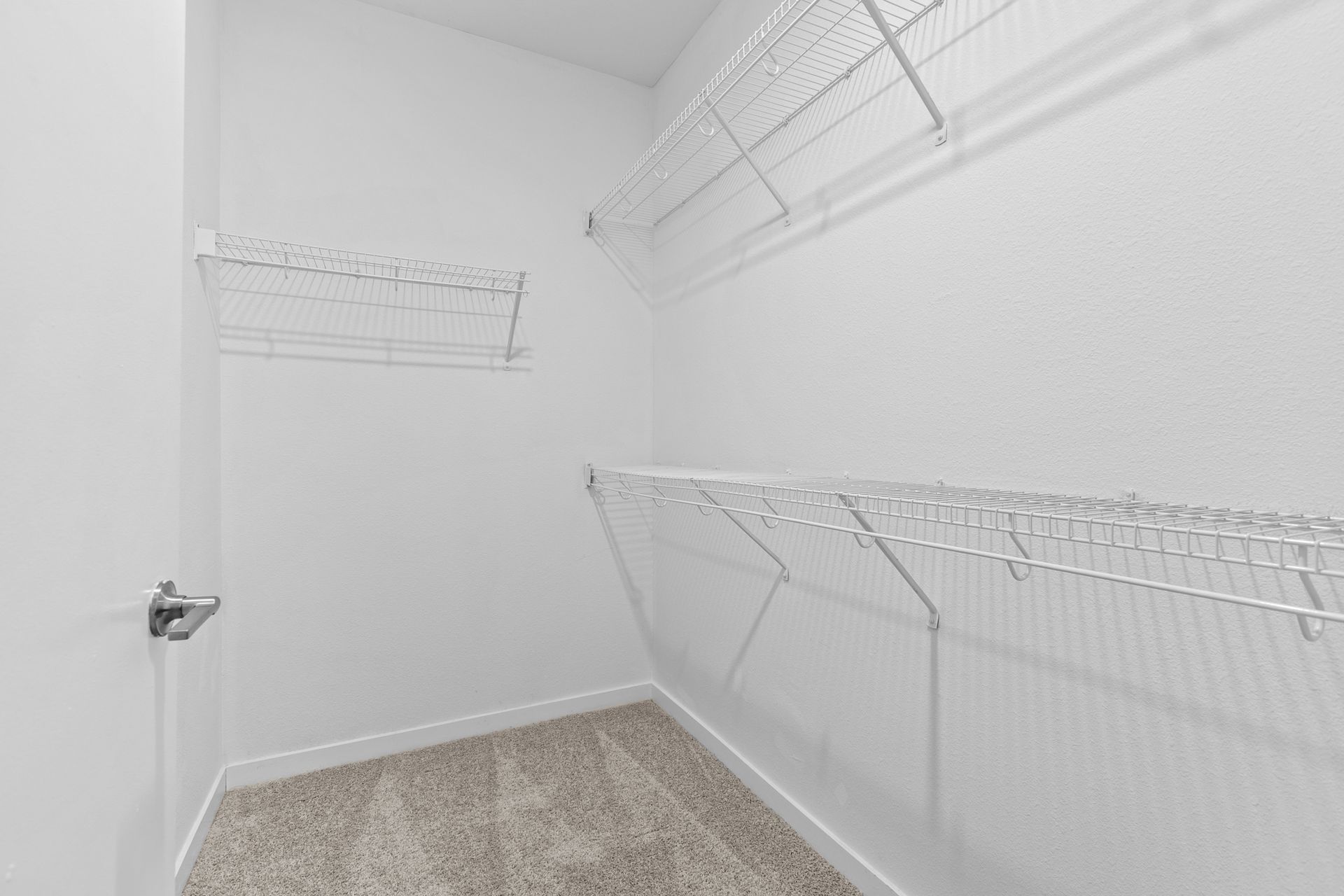 Empty walk-in closet with white wire shelving and beige carpet.