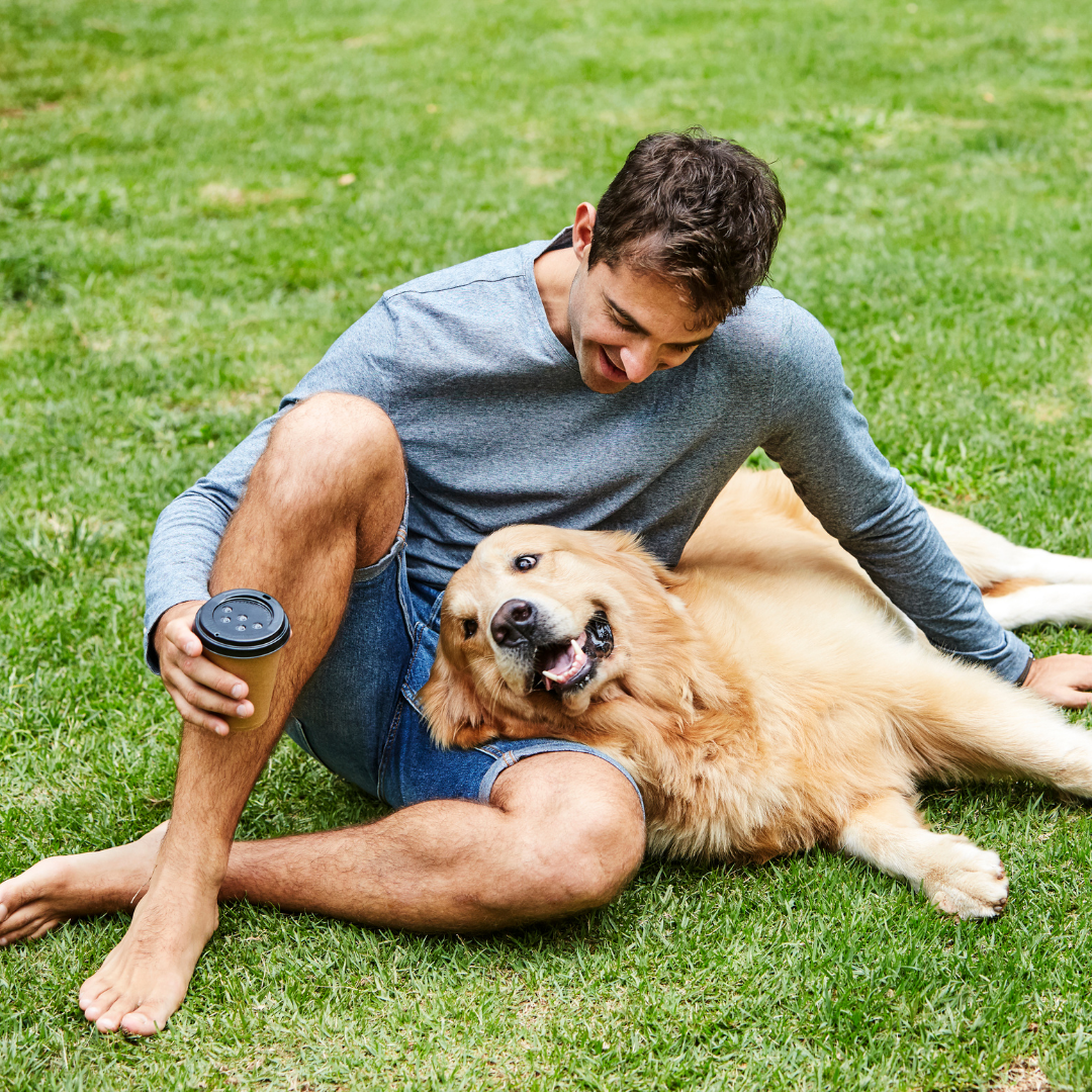 Image of Pet-Friendly