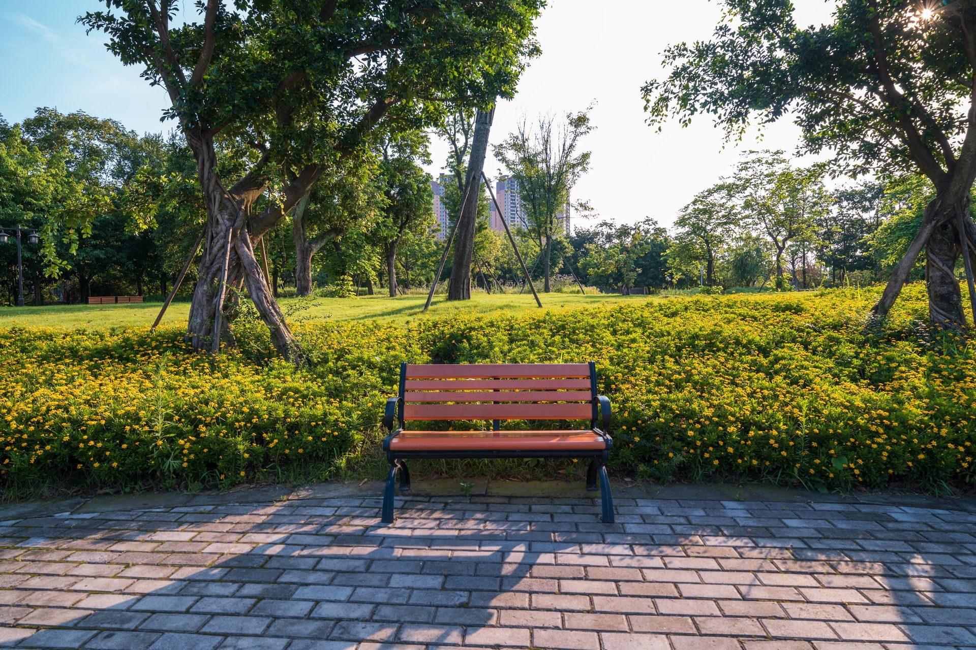 A bench in a tranquil park, embraced by trees, ideal for a moment of holiday park.
