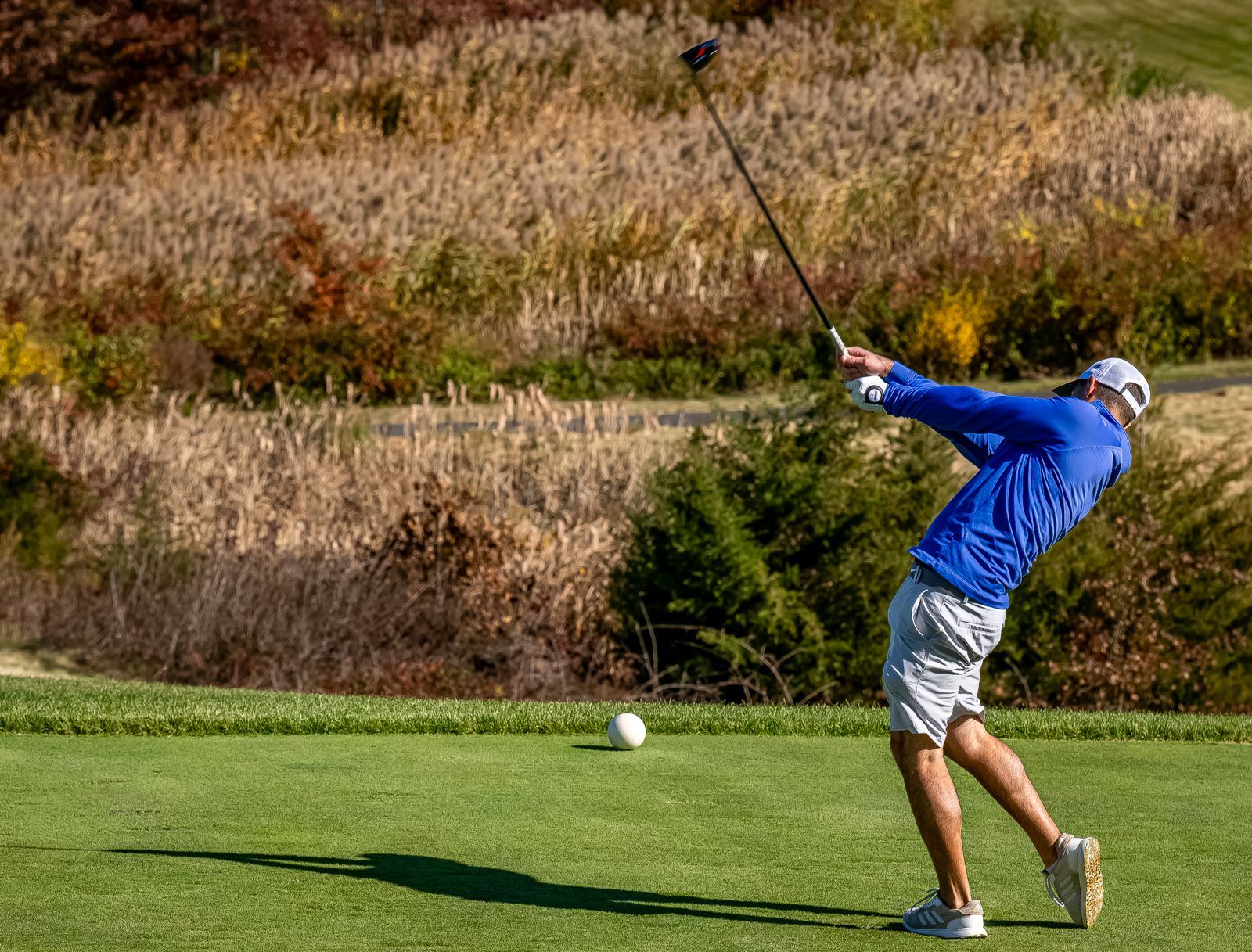 Golfer swinging a club on a green course, blue shirt, white hat, fall foliage in the background.