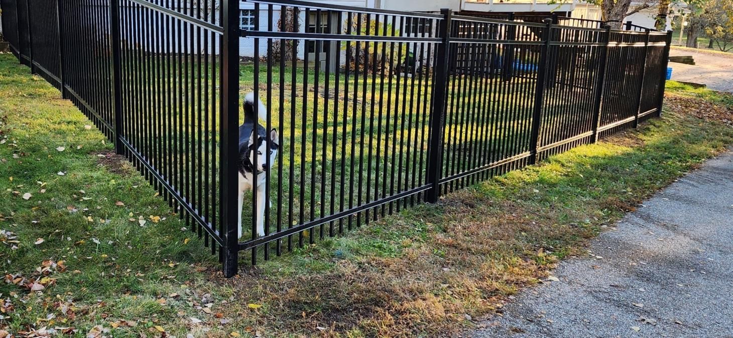 a black metal fence surrounds a lush green field