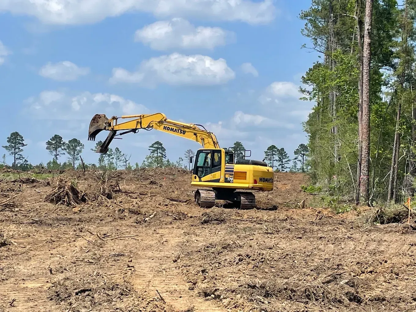Yellow excavator clearing a muddy wooded site under a blue sky