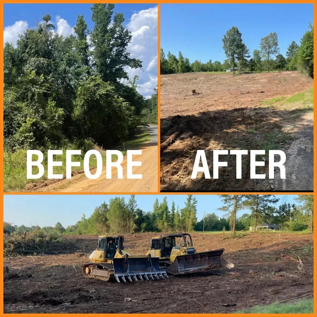 Before-and-after of land clearing: lush trees replaced by a dirt lot, with bulldozers working below.