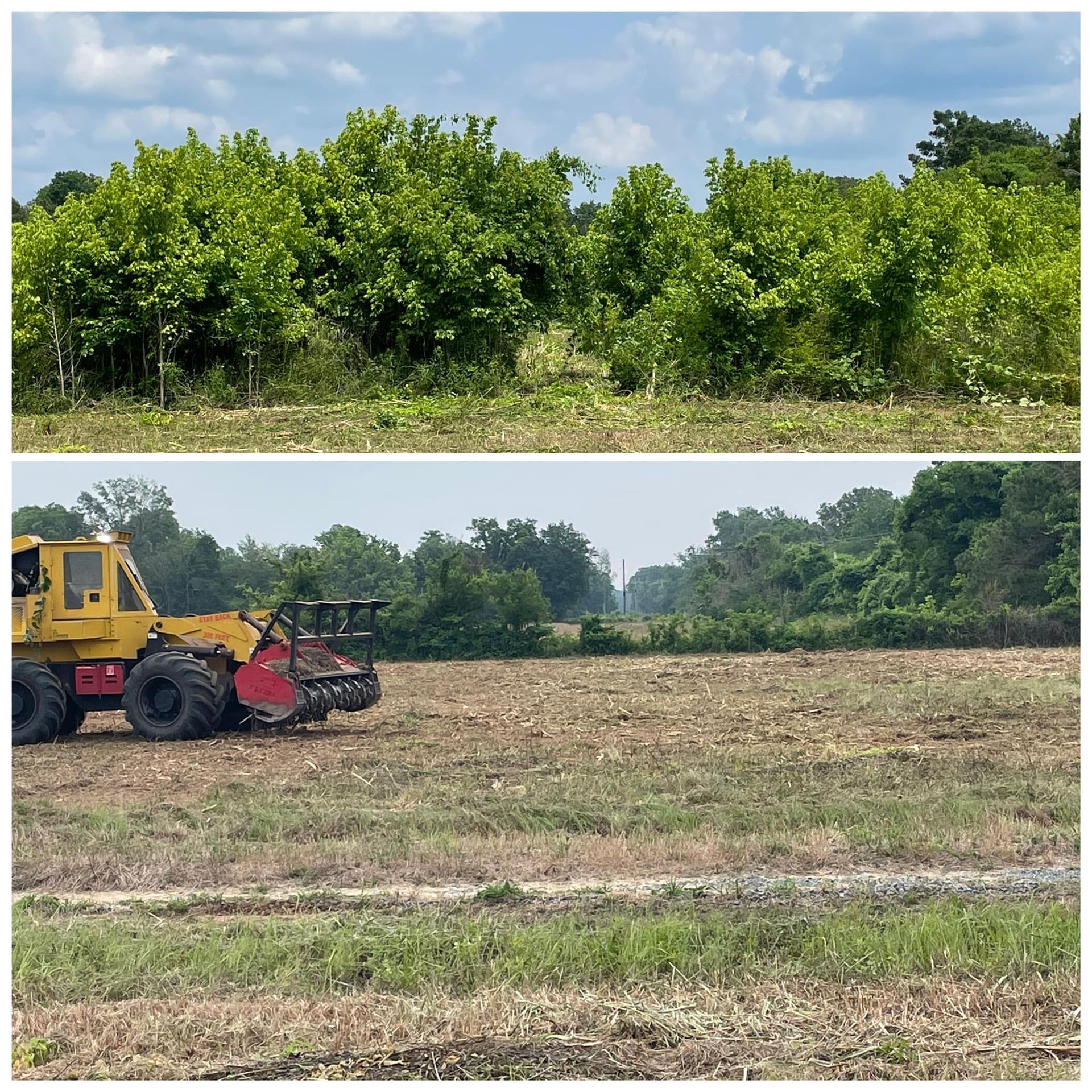 Two-panel view of a green orchard before and after clearing, with a tractor working in the lower scene