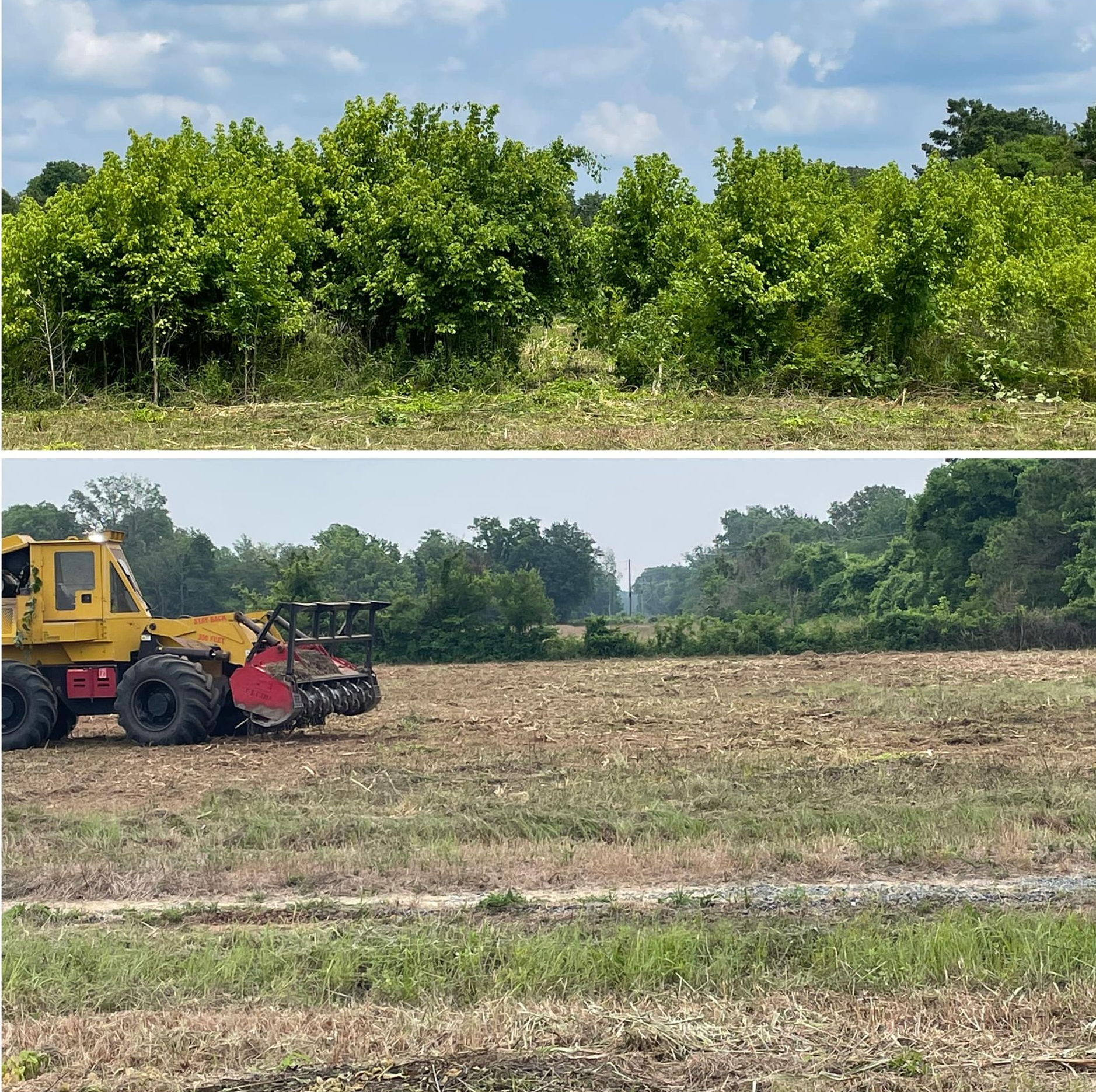 Two-panel scene: lush green trees above, and a yellow tractor clearing a field below.