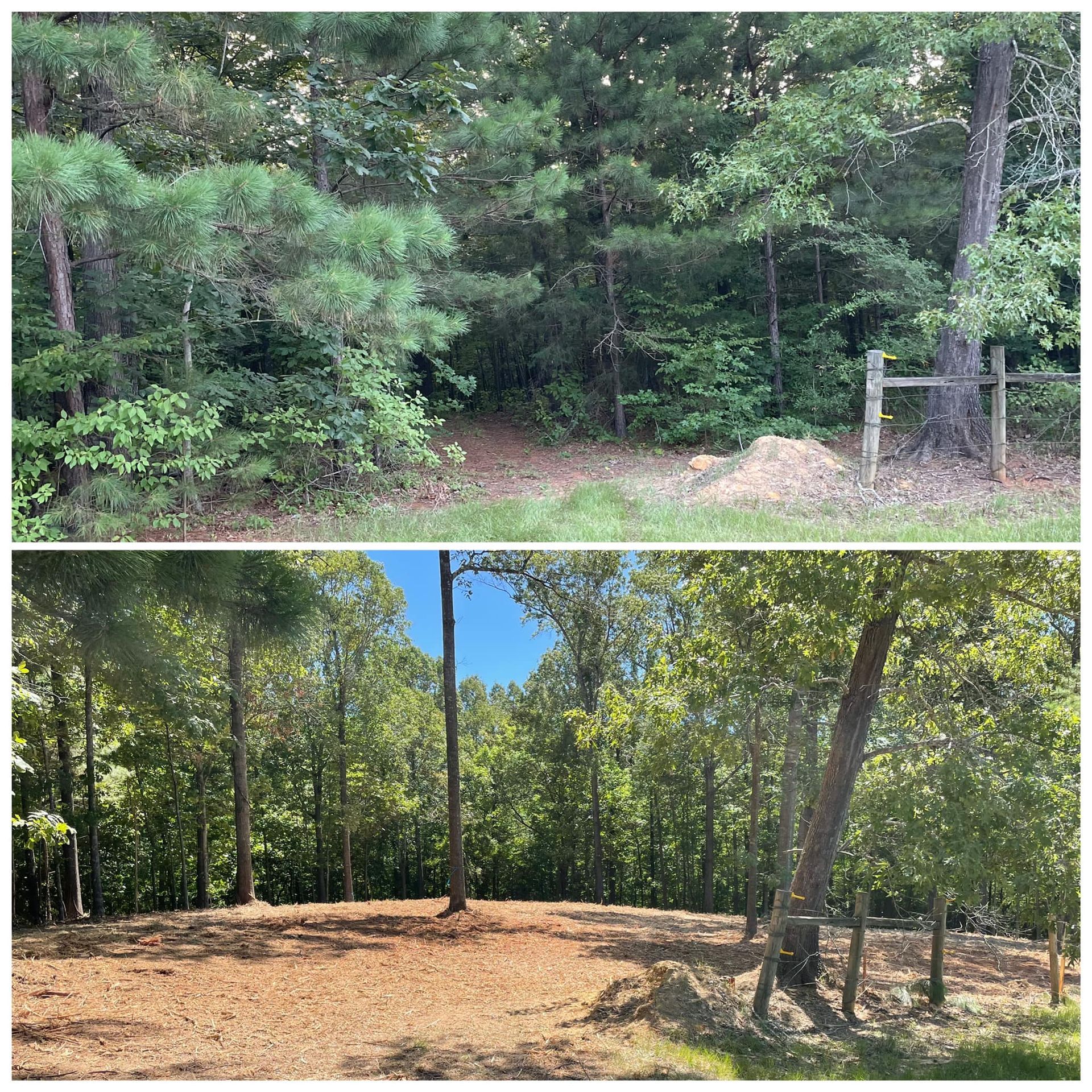Before-and-after view of a wooded lot, with dense green trees above and cleared bare ground below.
