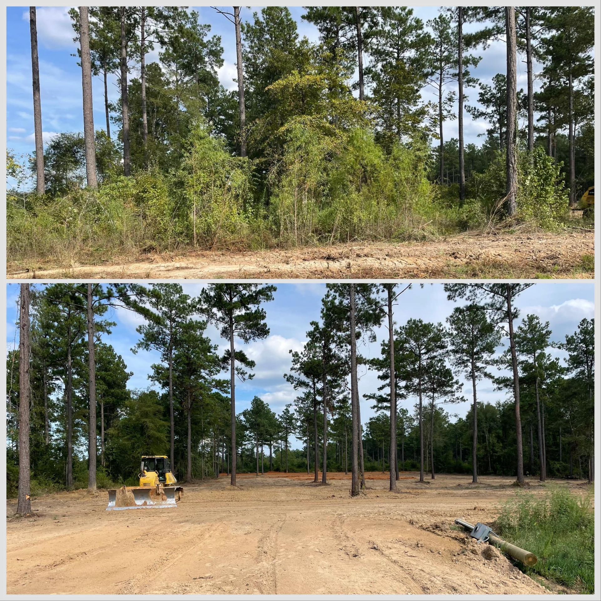 Before-and-after of a wooded lot cleared to bare sandy ground, with a small bulldozer in the lower scene.