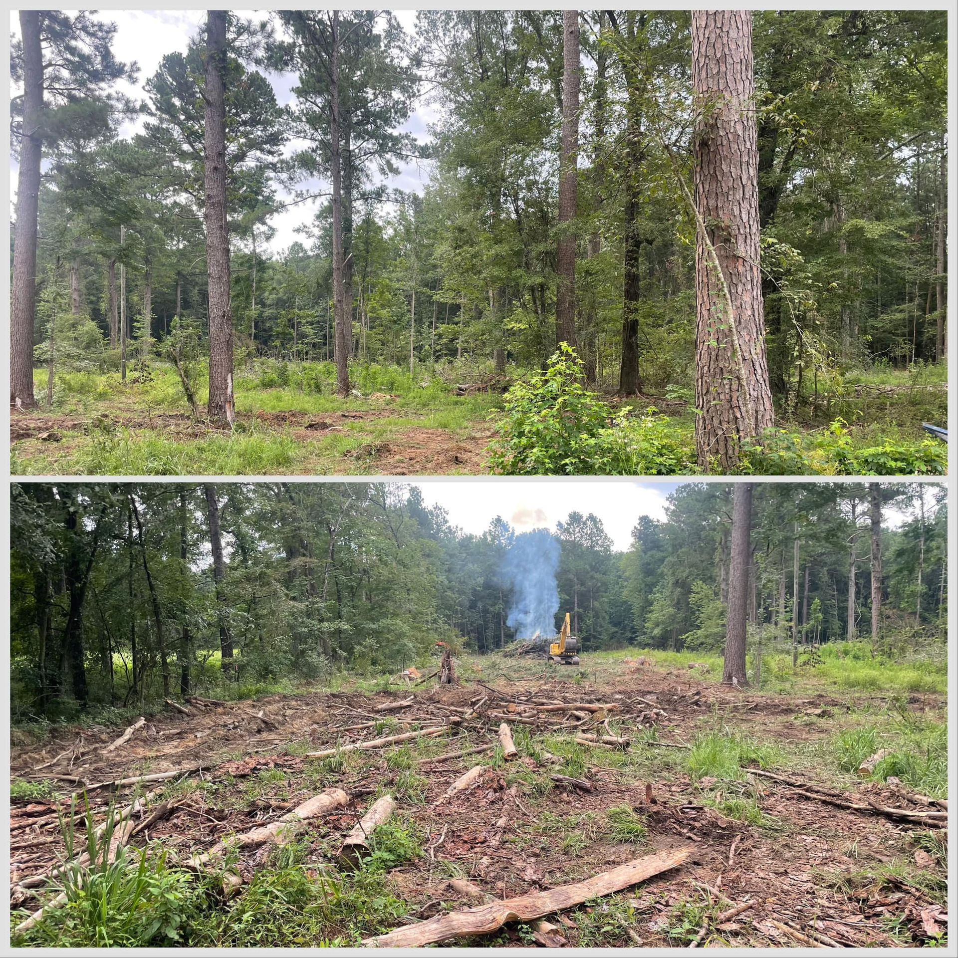 Split image of a forest before and after clearing, with trees standing and a smoky burn pile on a logged site