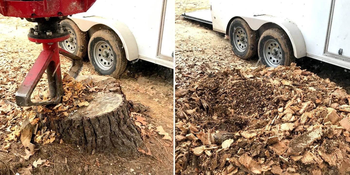 Tree stump being ground down beside a white trailer, with wood chips scattered around.