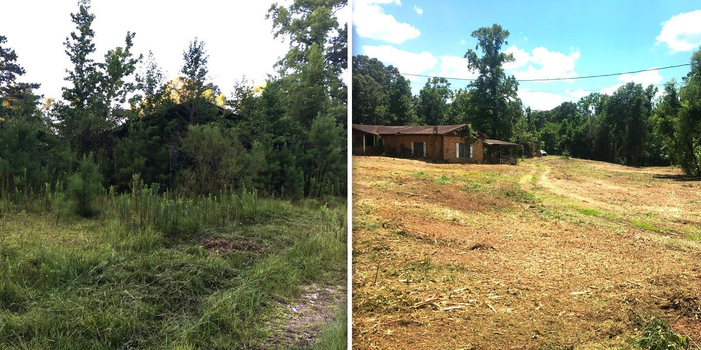 Split view of a grassy clearing and a sunlit dirt lot beside a small wooden cabin, with trees and blue sky