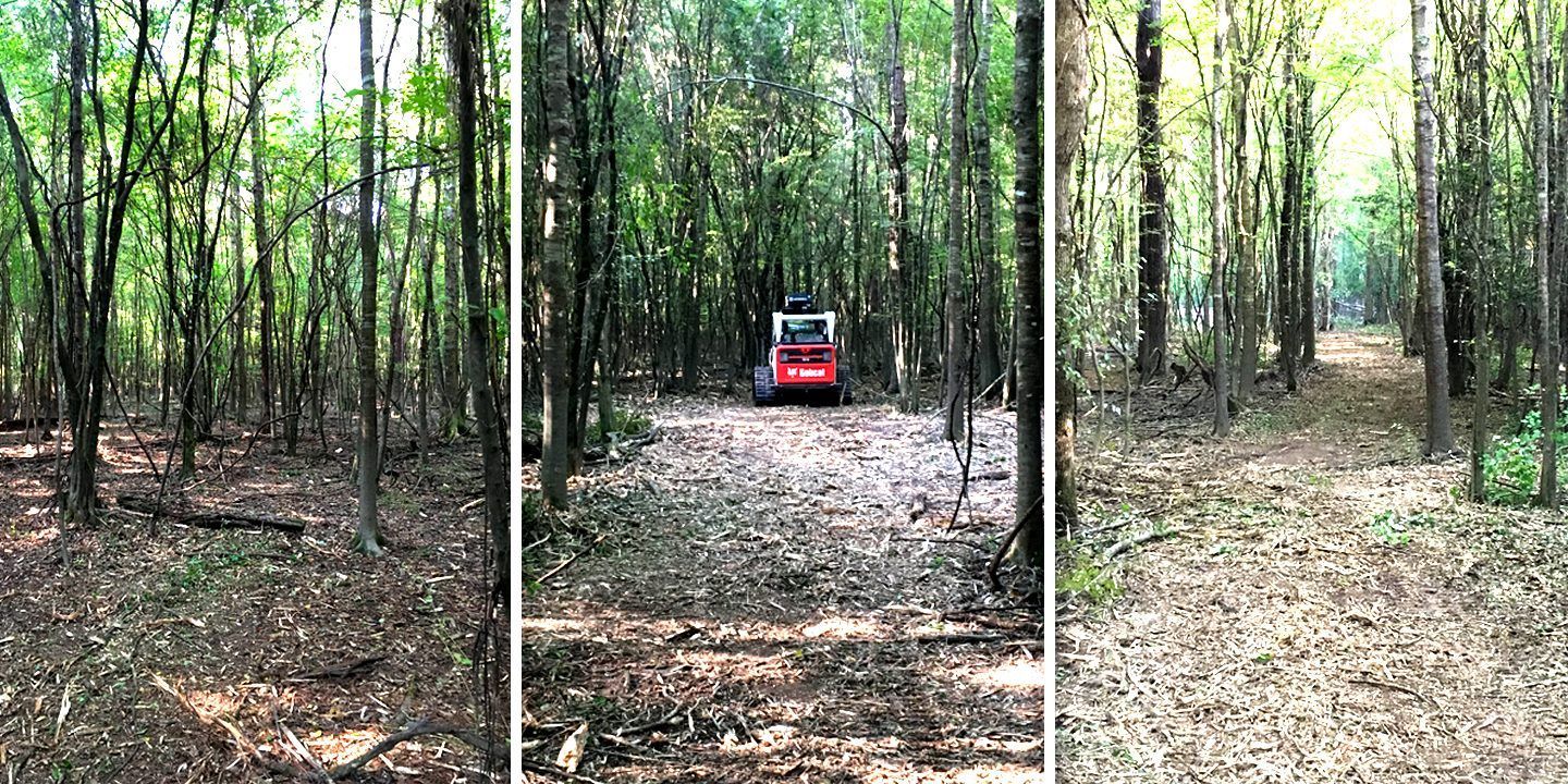 Red off-road vehicle in a wooded forest clearing with tall trees and leaf-covered ground