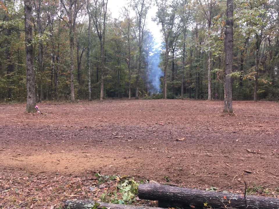 Forest clearing with bare ground, trees around the edges, and a faint plume of smoke in the center.