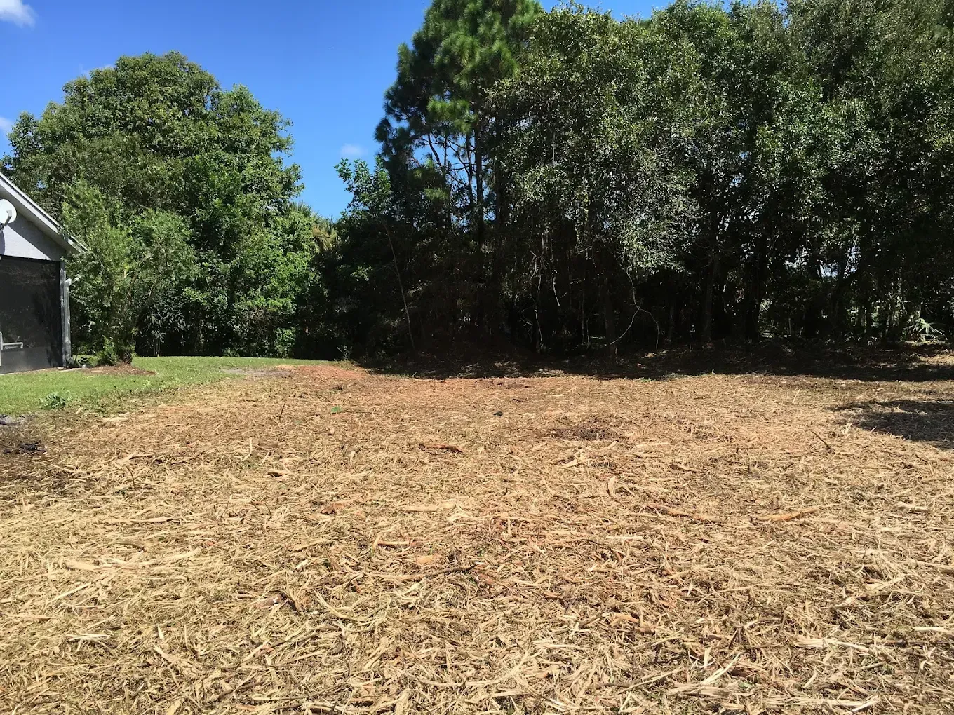 Cleared dirt lot with mulch, bordered by green trees under a bright blue sky
