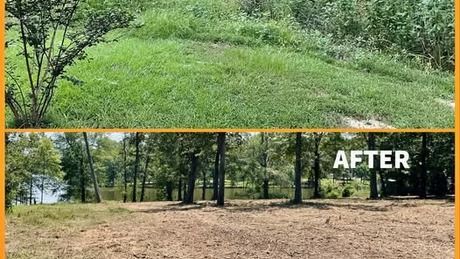Before-and-after view of a wooded clearing, from overgrown green grass to a cleared dirt area with trees.