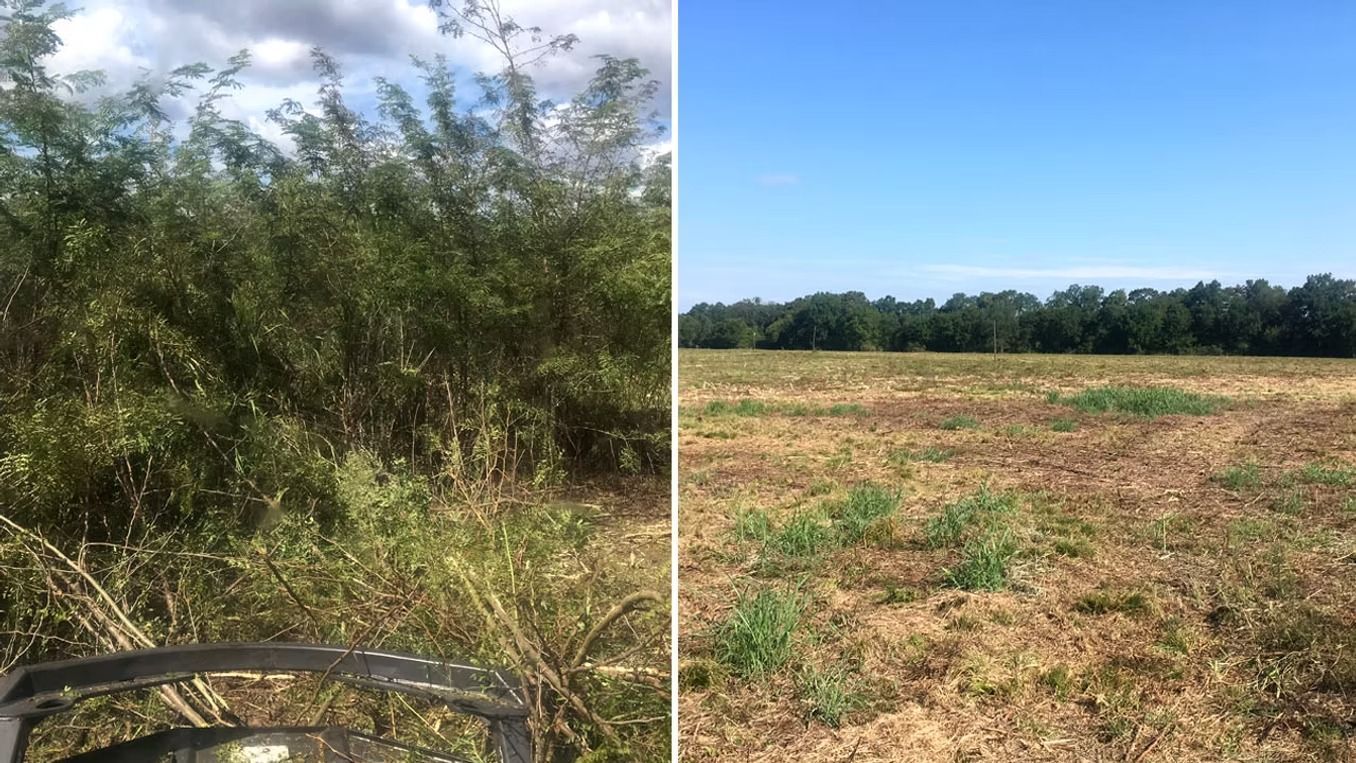 Split view of a grassy field and bushy brush under a partly cloudy sky, seen from a vehicle