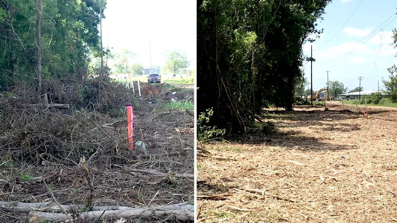 Before-and-after view of a cleared roadside area, with dense brush on one side and a cleaned dirt path on the other