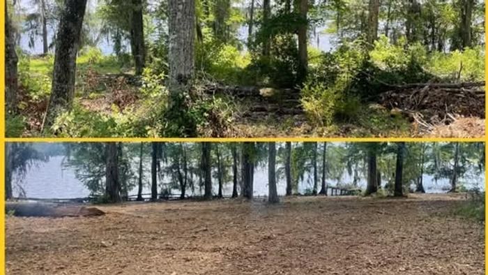 Split view of a wooded area above and a cleared, barren shoreline below.