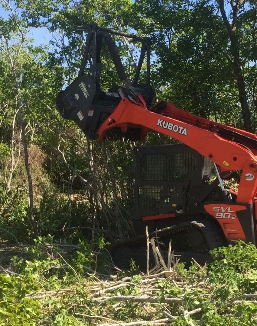 Red Kubota excavator clearing brush in a wooded area