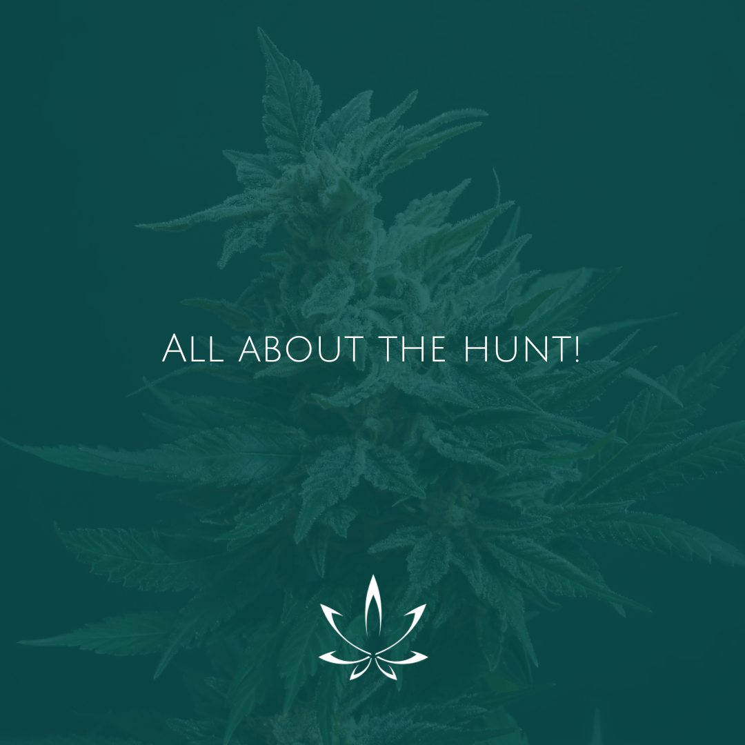 License - Klonetics Plant Sciences