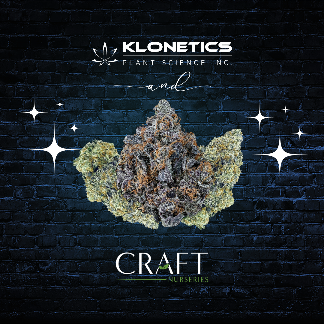 Klonetics Plant Science Inc and Craft Nurseries 1