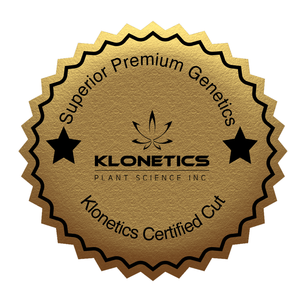A gold sticker that says superior premium genetics klonethics certified cut