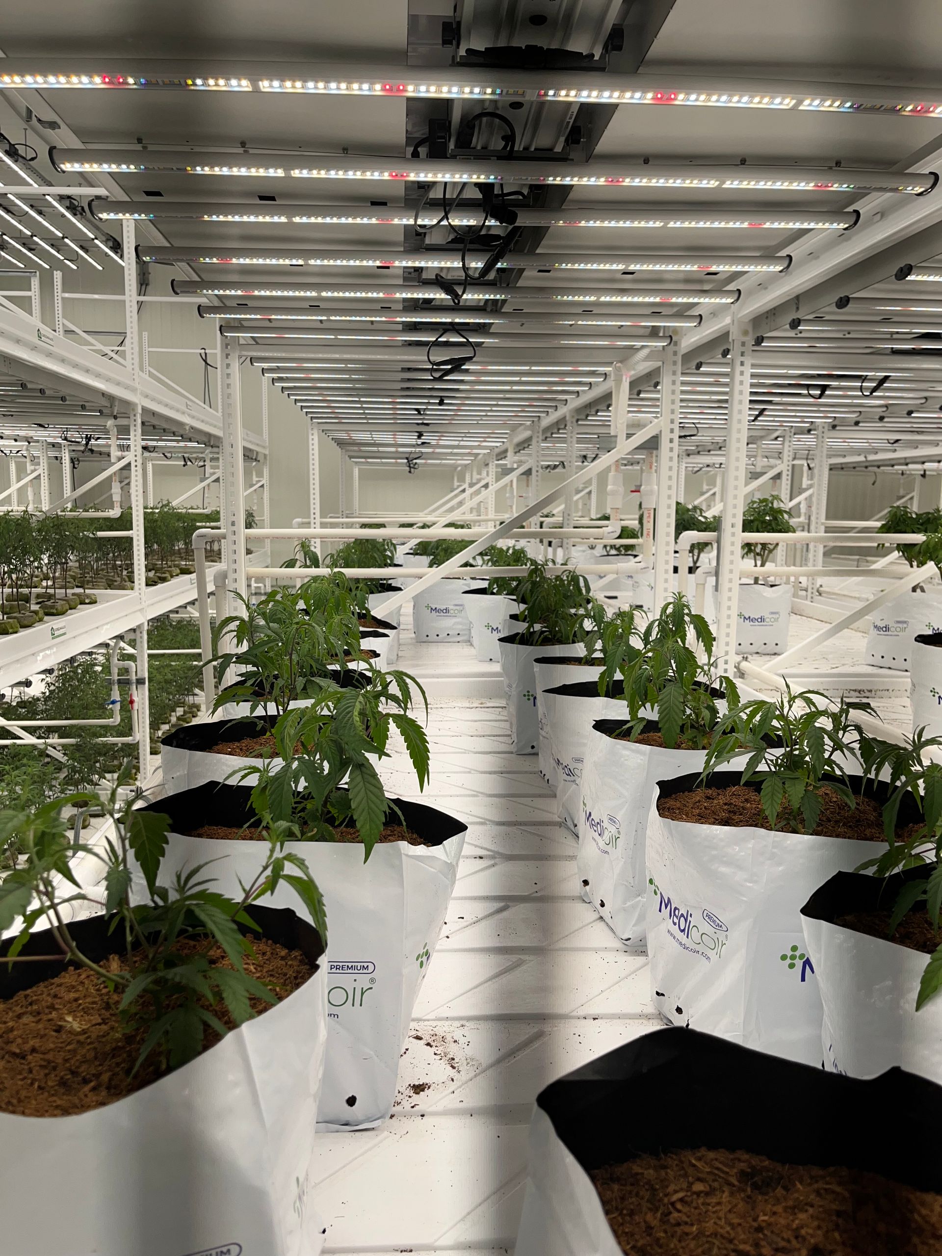 CLONES & RTF'S9