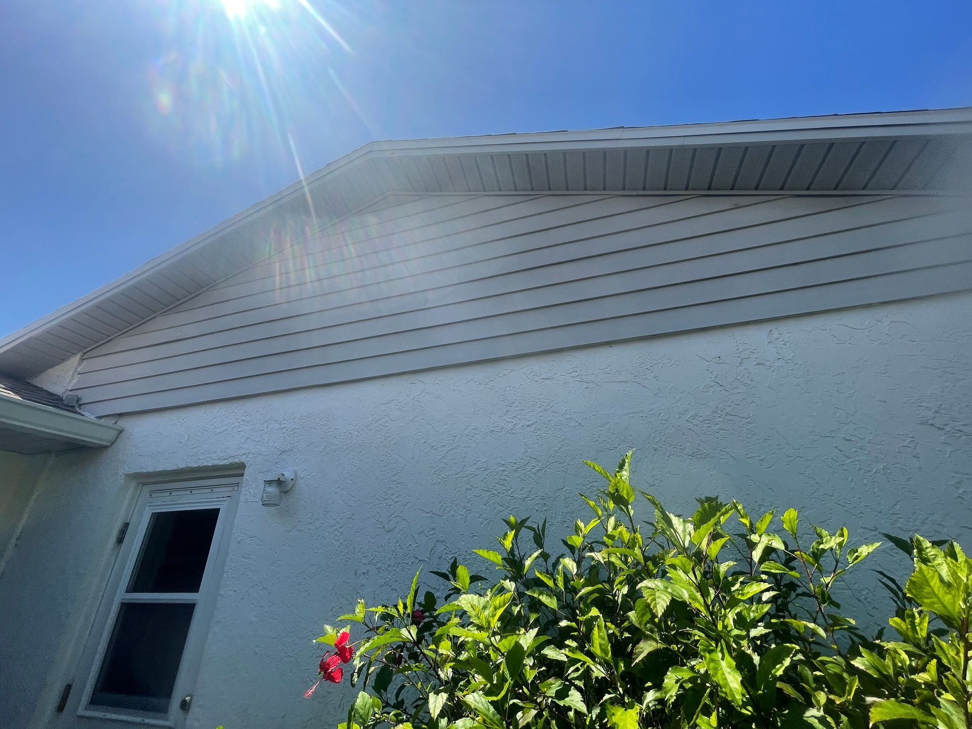 White house exterior with window, sunlit roofline, and green shrub with red flowers