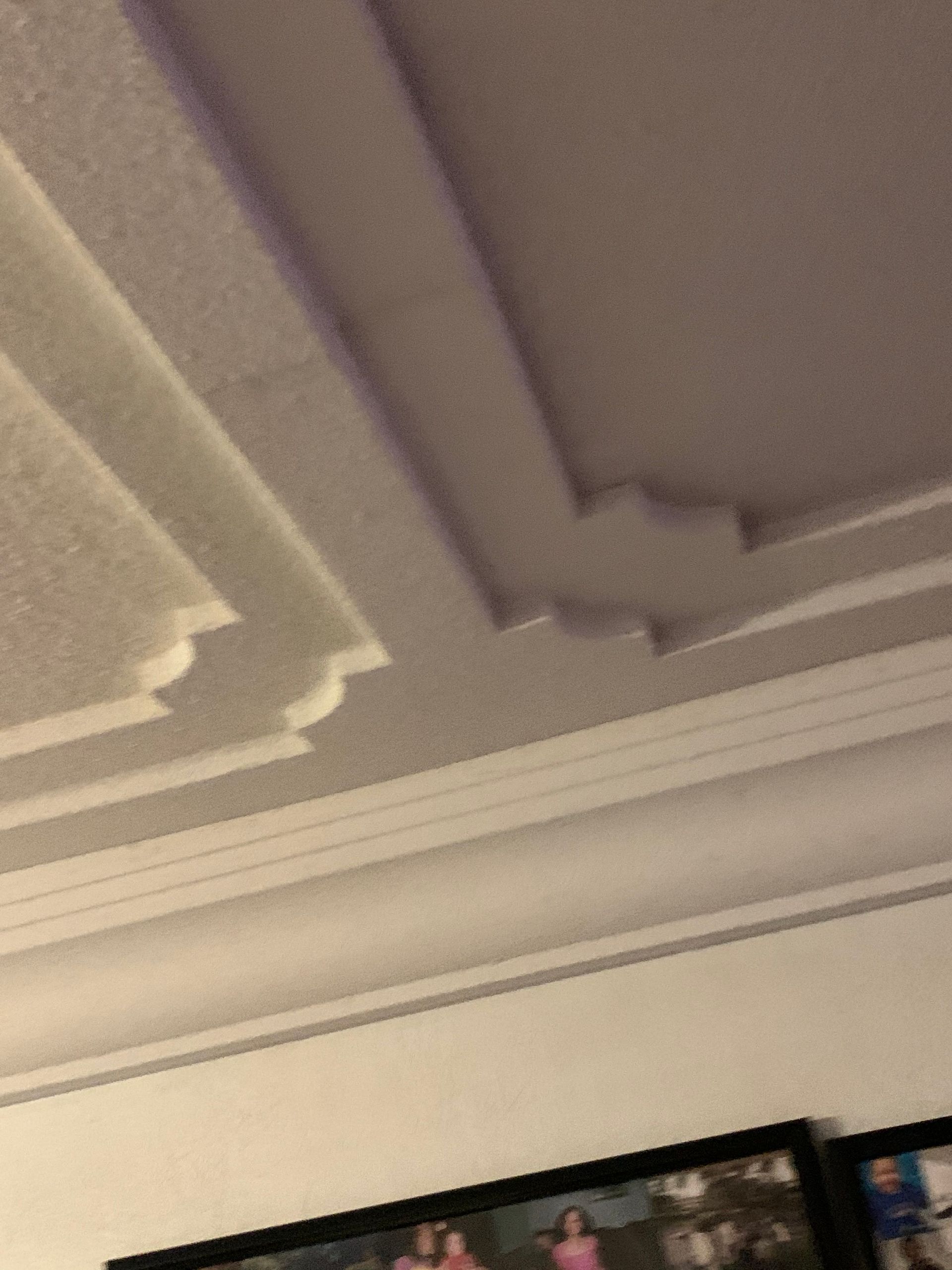 Ceiling with decorative molding and recessed panels above a wall-mounted TV.