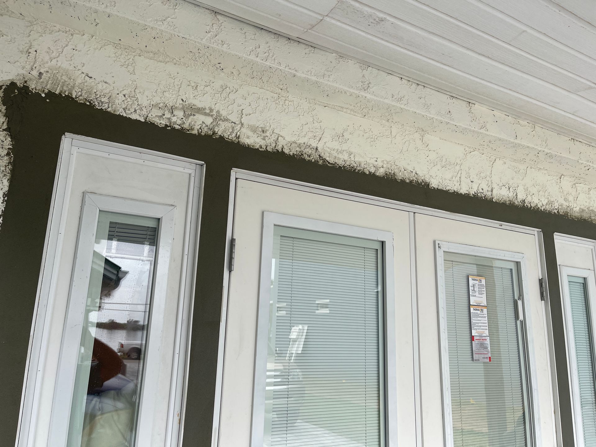 White exterior doors and windows beneath a light-colored overhang with dark trim on a house facade