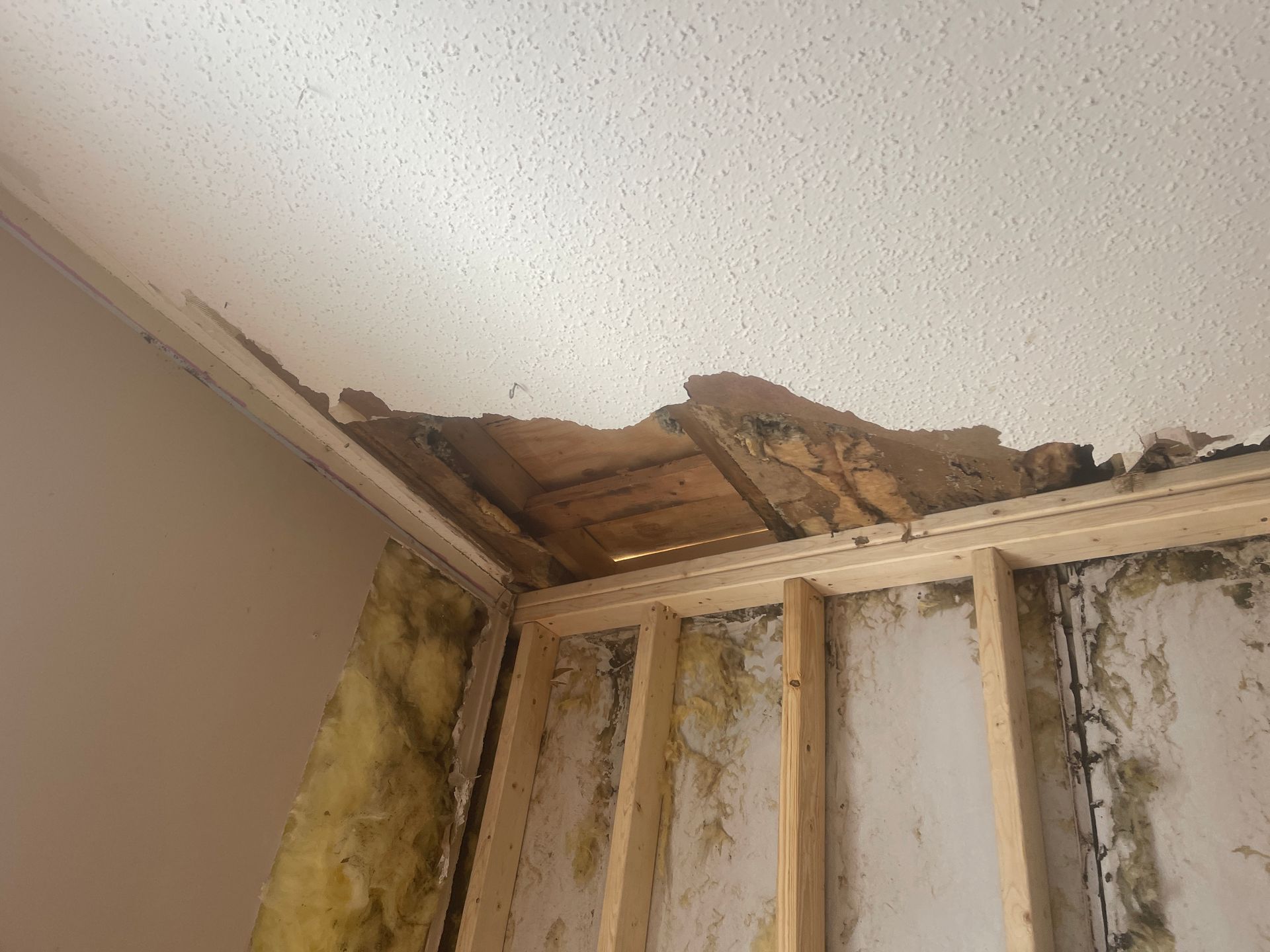 Damaged ceiling and wall framing with mold and water damage in a room corner