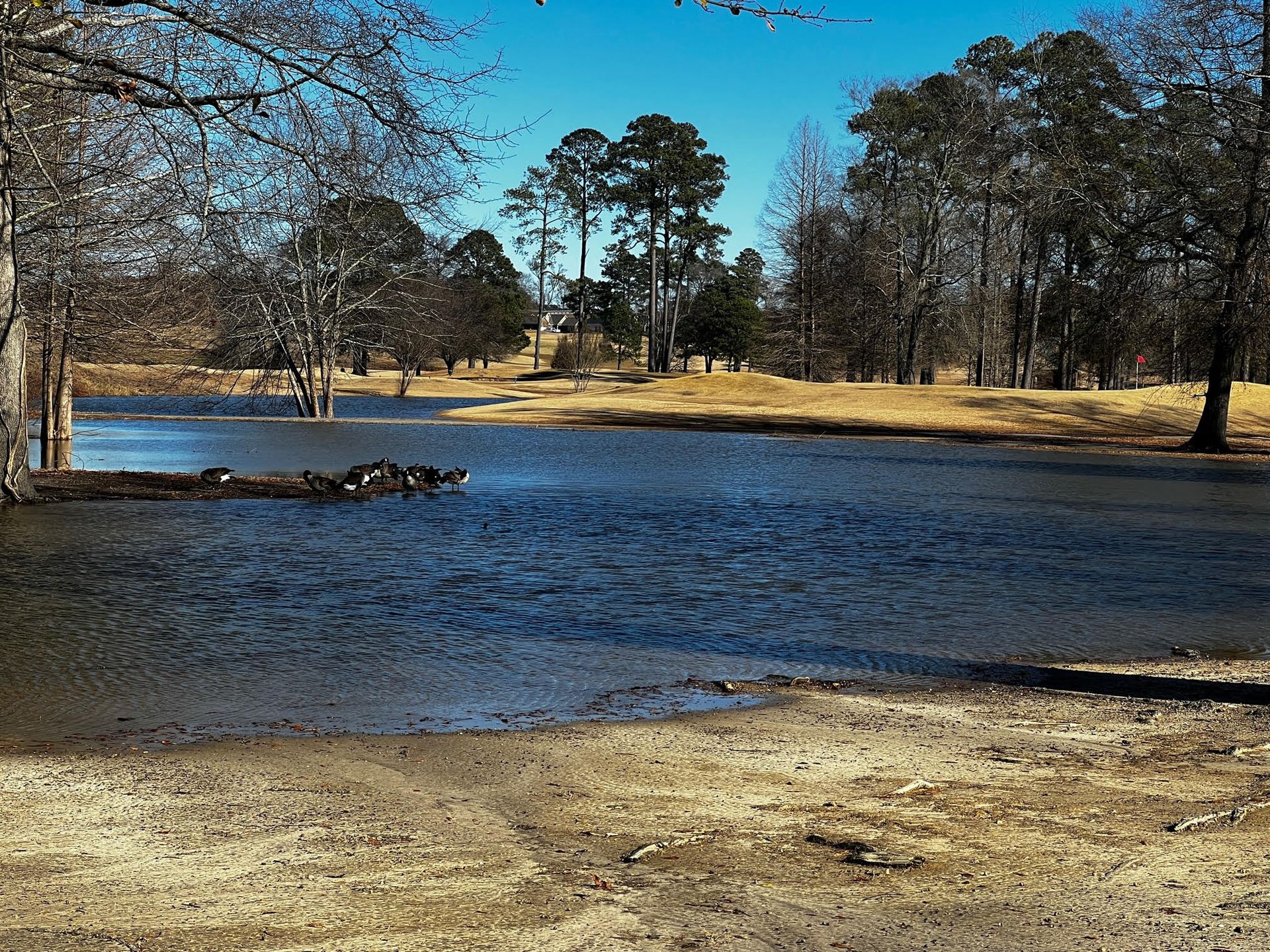 Golf Course Goldsboro, NC Lane Tree Golf Club and Conference Center