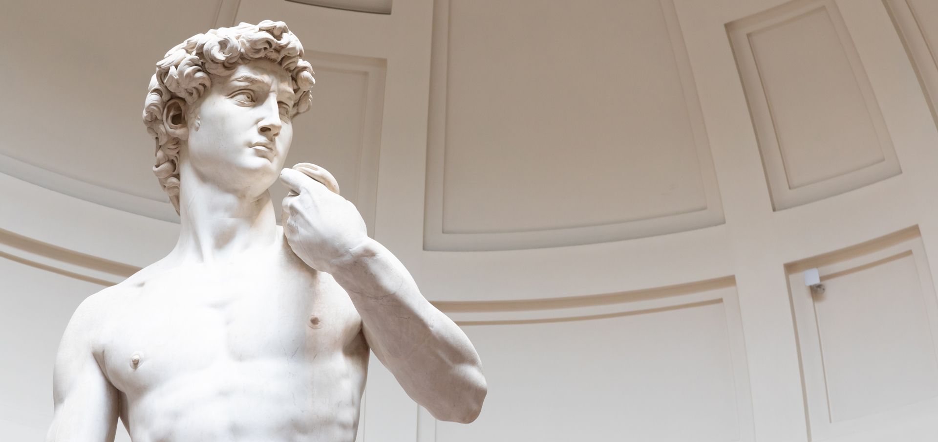 Private Accademia Tour Florence | David First Entry
