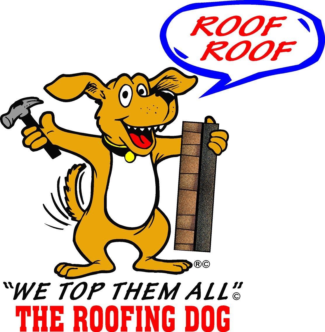 Roofing Services Kenosha, WI Martin's Roofing Dog Inc.