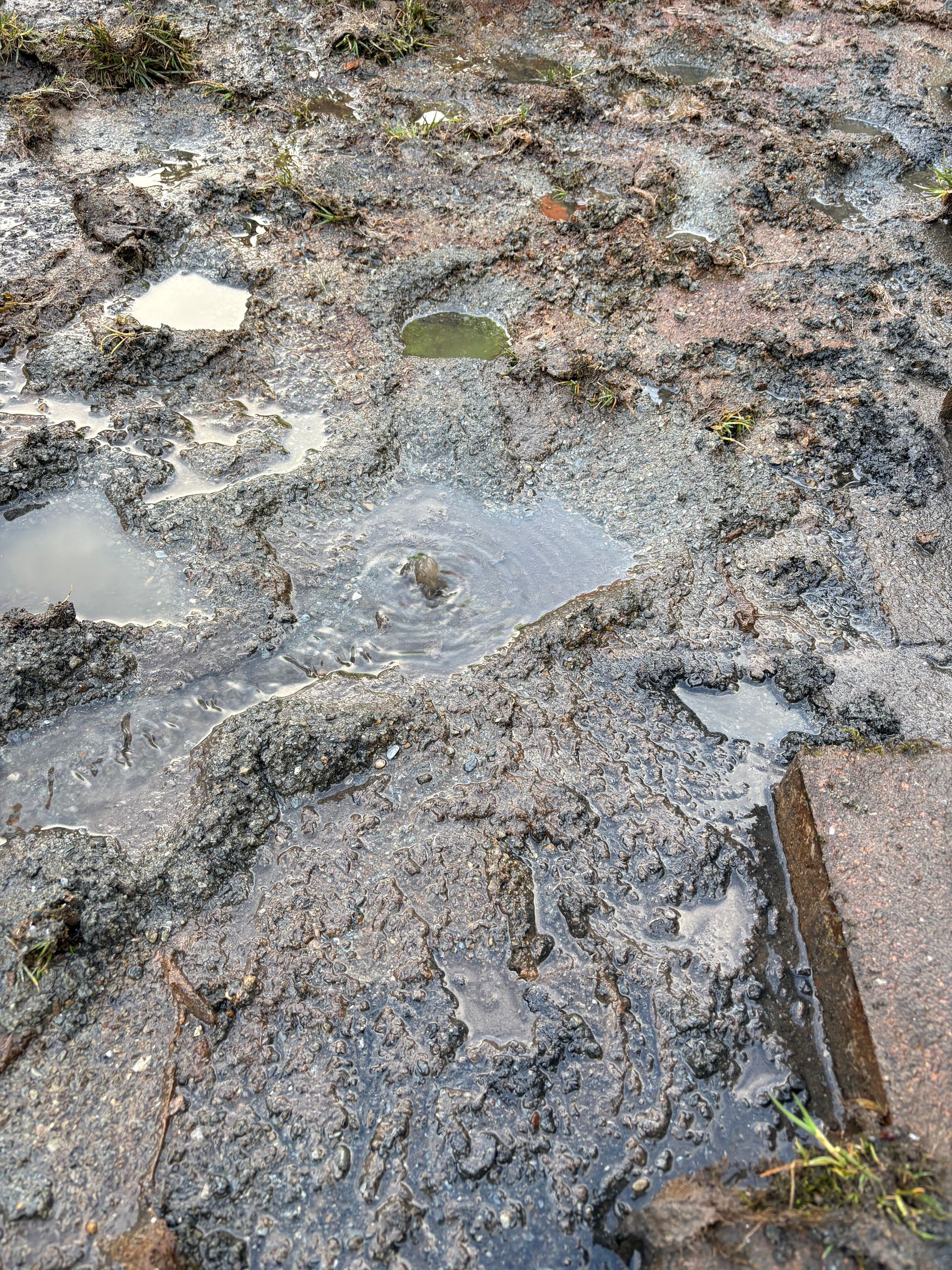 Garden & Field Drainage