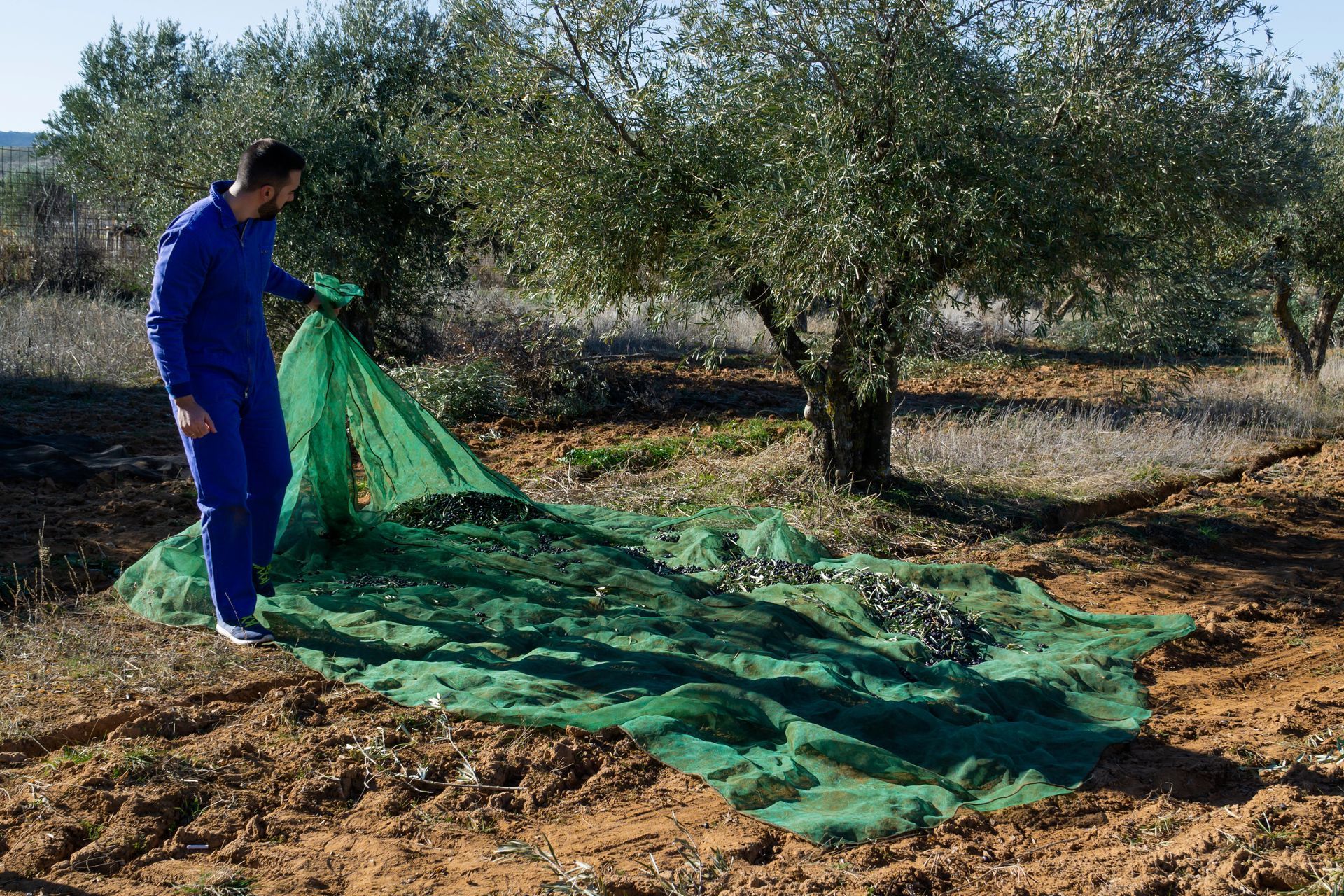 Rete Agricoltura
