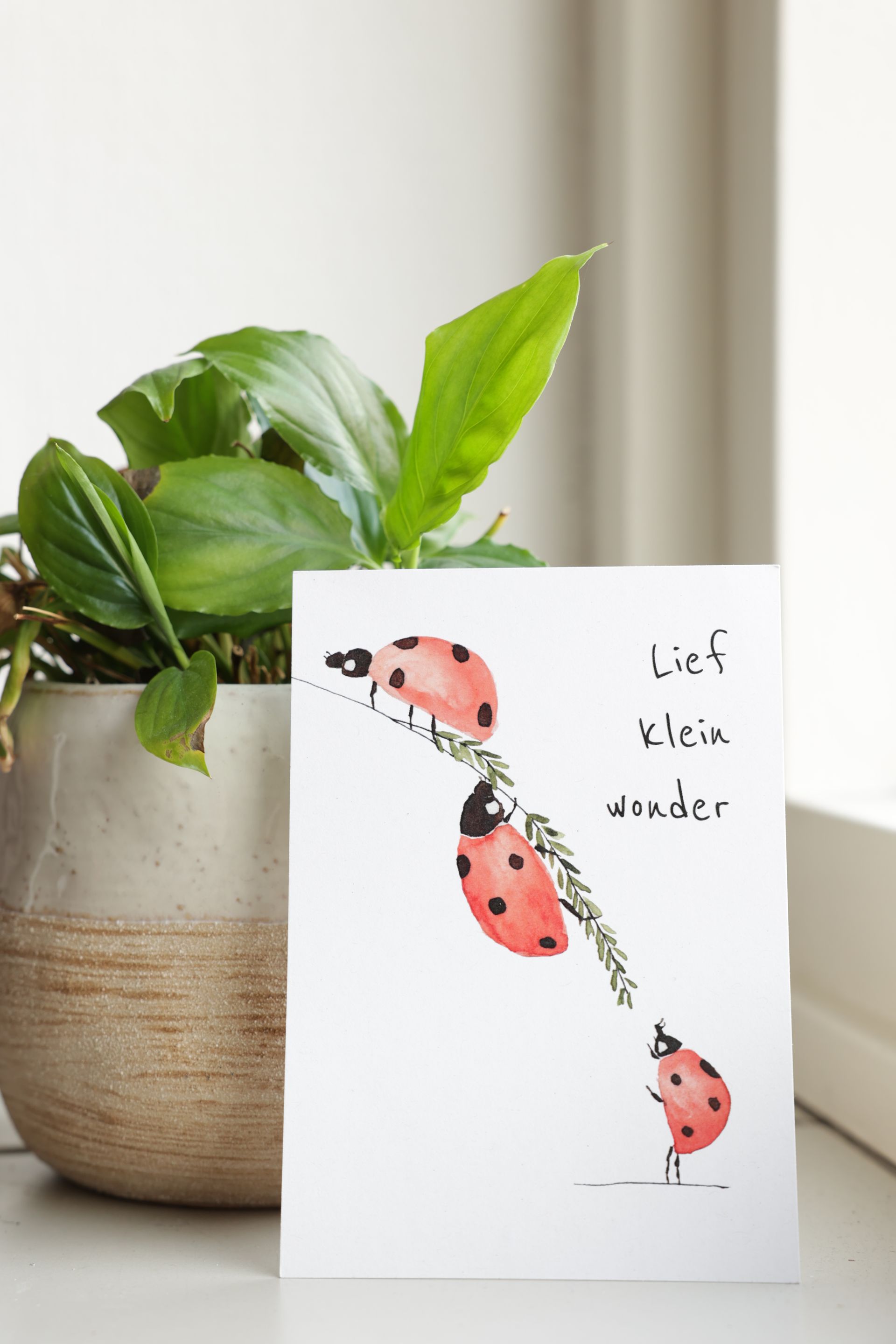 Kaart met illustratie van een lieveheersbeestje en de tekst 