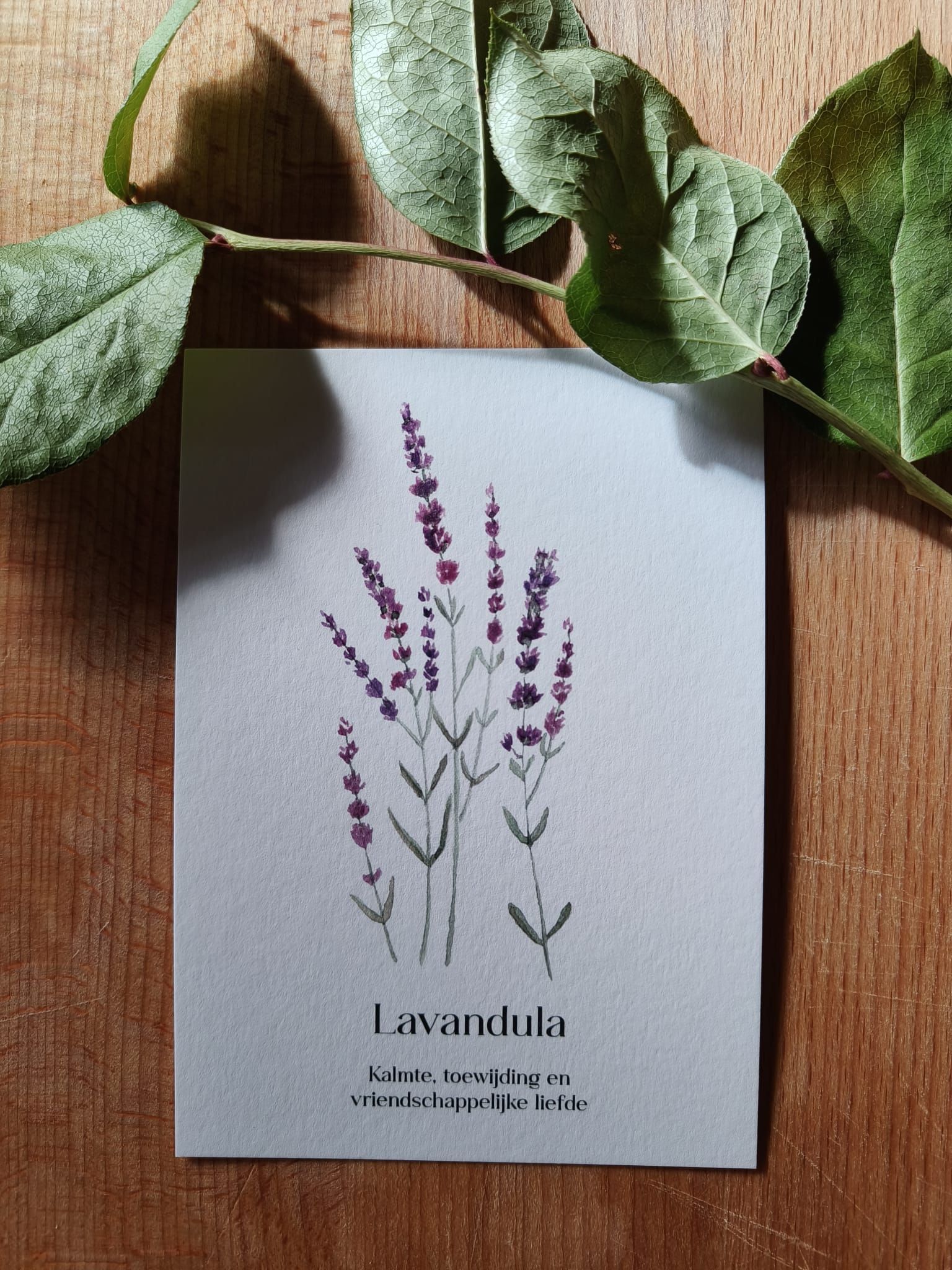 Kaart met afbeelding van lavendel en haar betekenis op een houten ondergrond.