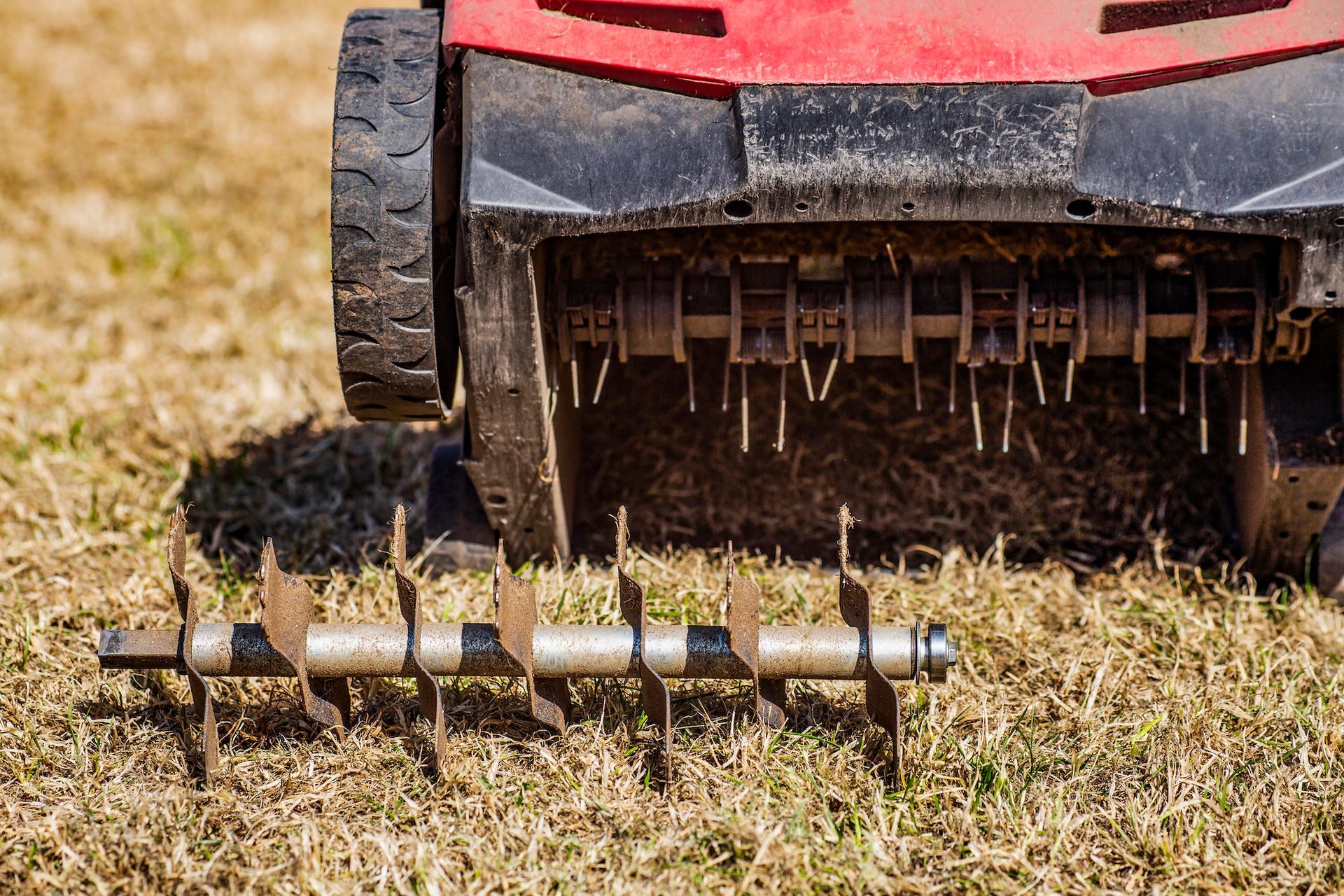 Aeration & Overseeding