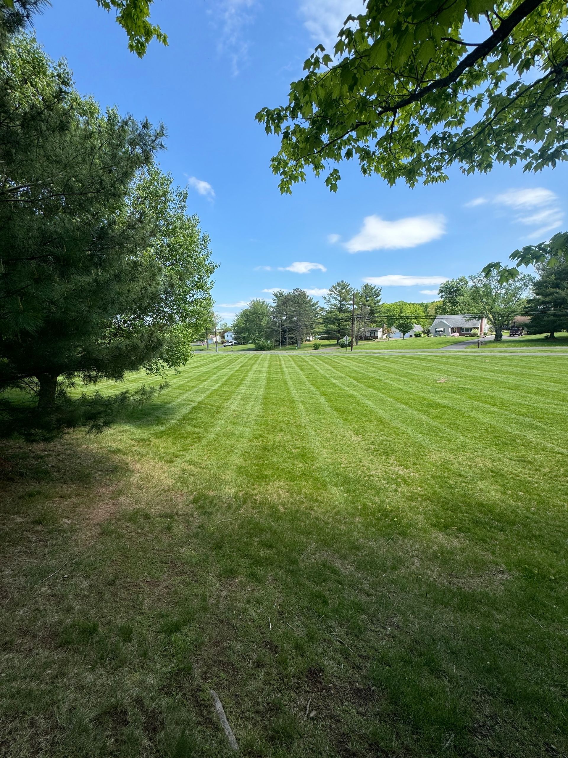 Landscape Maintenance