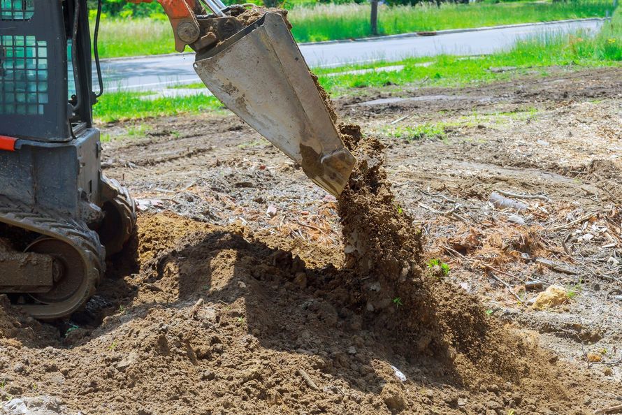 Landscape Construction