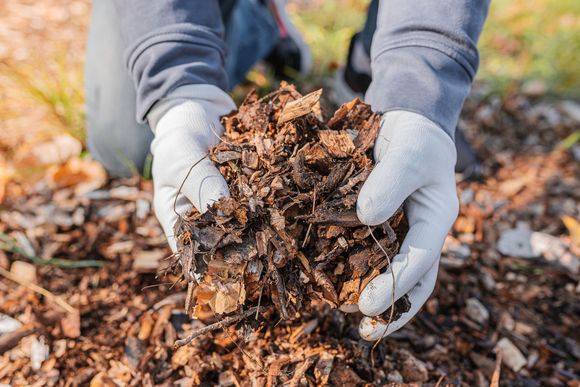 Commercial Landscape Maintenance