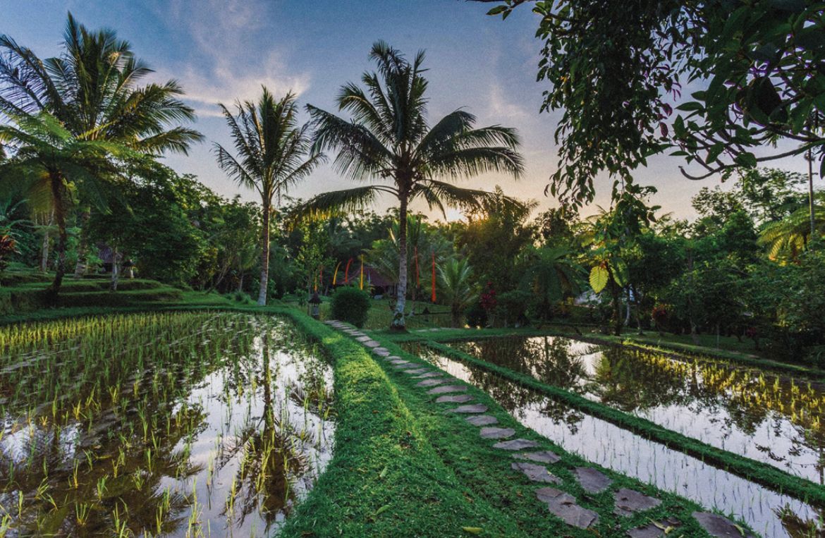 Prana Dewi Retreat with Annie Insel 