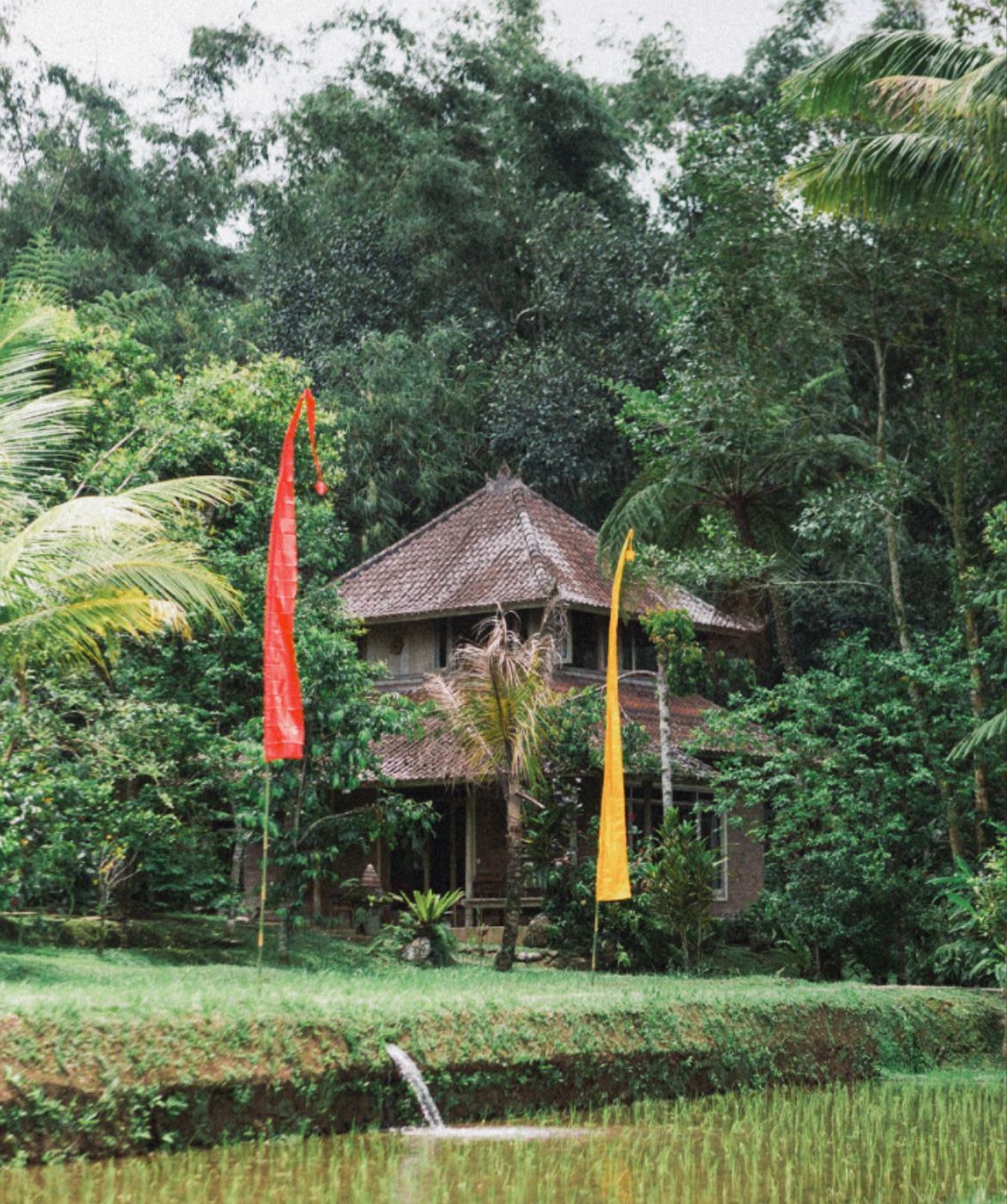 Annie Insel Yoga Teacher Retreat Bali  