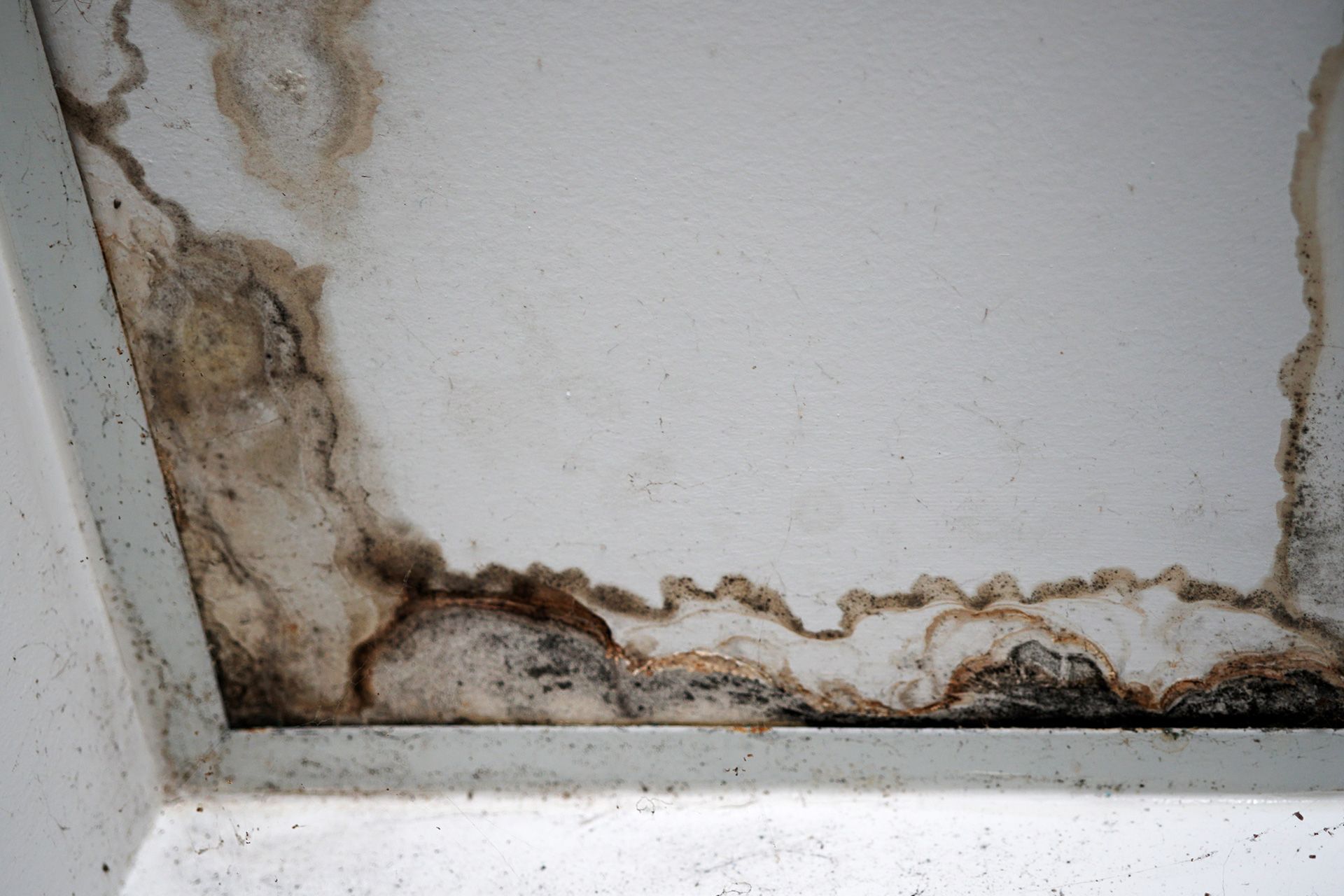 Hidden ceiling water stain inspection