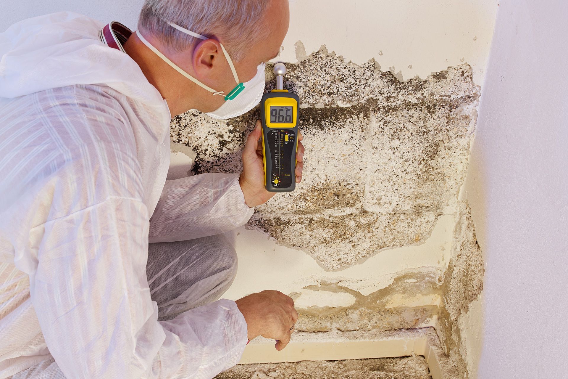 Black Mold Inspection Near Me: Cost & Process | Florida 2026