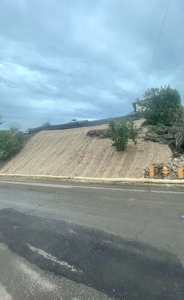 Debris covers hillside, pouring onto a road under a cloudy sky.