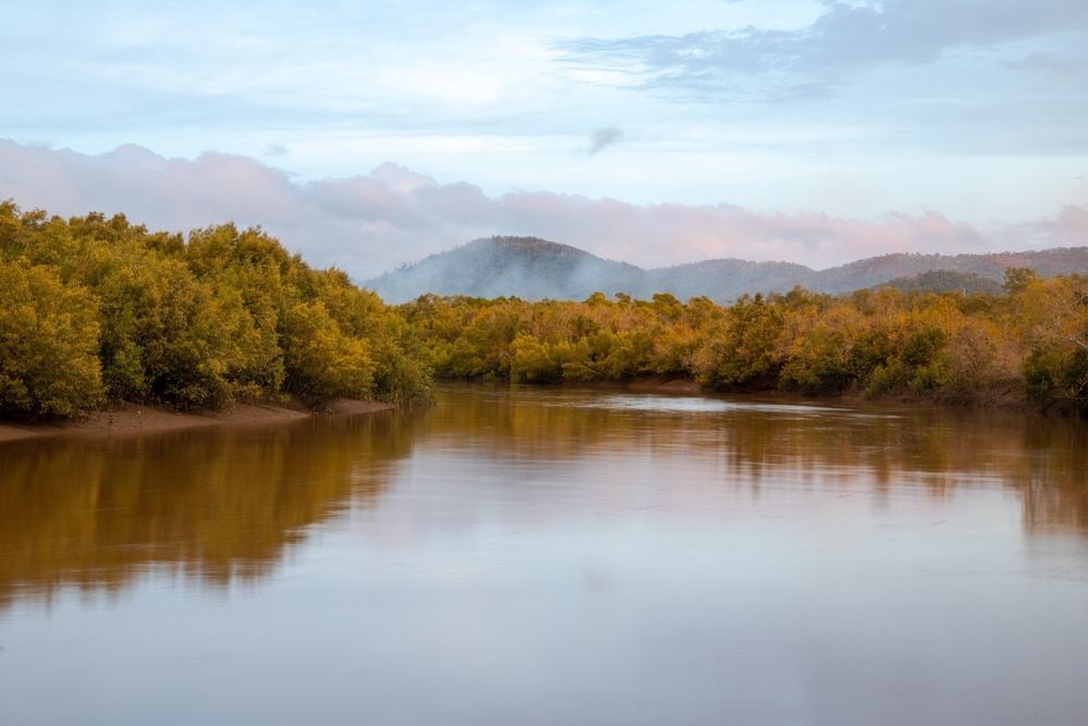 A River Surrounded by Trees and Mountains With Mountains in the Background — Refrigerated Technologies (QLD) Pty Ltd In Proserpine, QLD