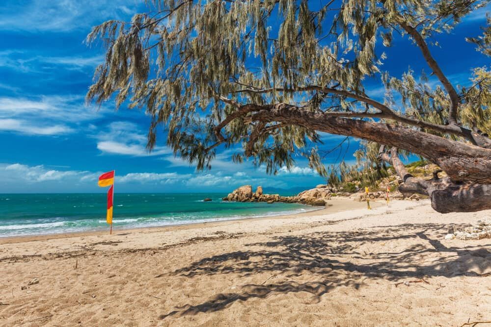 A Beach With a Lifeguard Flag and a Tree in the Foreground — Refrigerated Technologies (QLD) Pty Ltd In Bowen, QLD