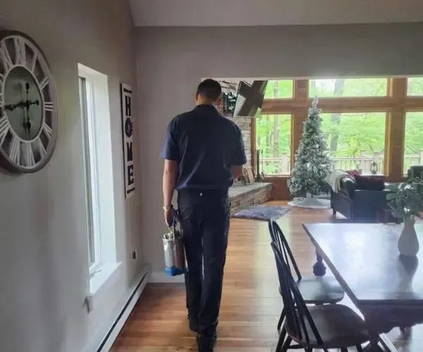 Stink Bug Control in Johnstown, PA Protective Pest Management